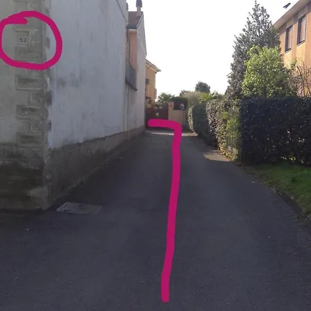 B&B Magenta Magenta