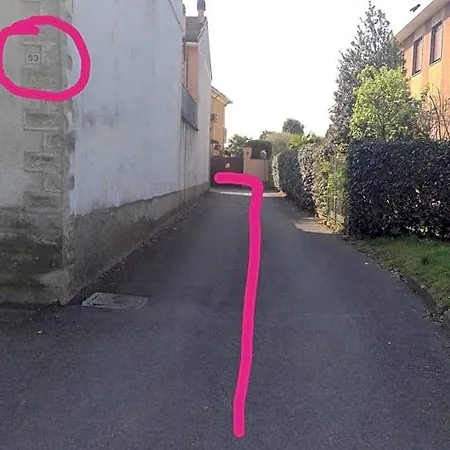 B&B Magenta