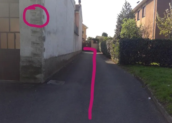 B&B Magenta Magenta